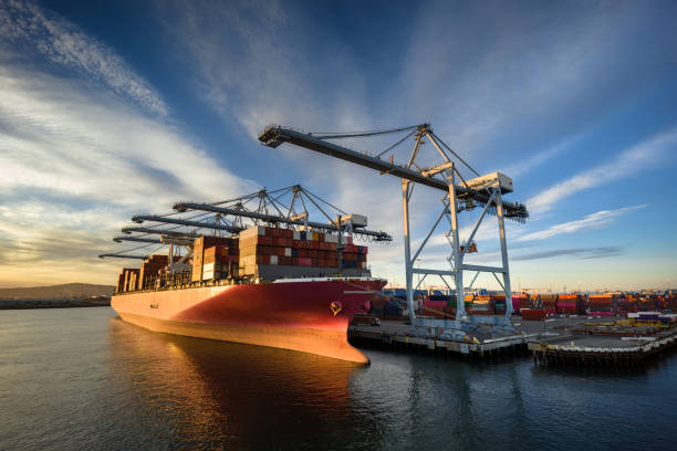 International seaport at golden hour